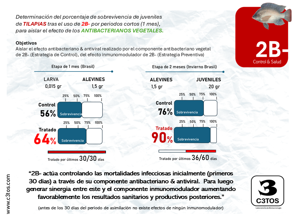 Menor mortalidad en cultivo de Tilapias (Brasil)