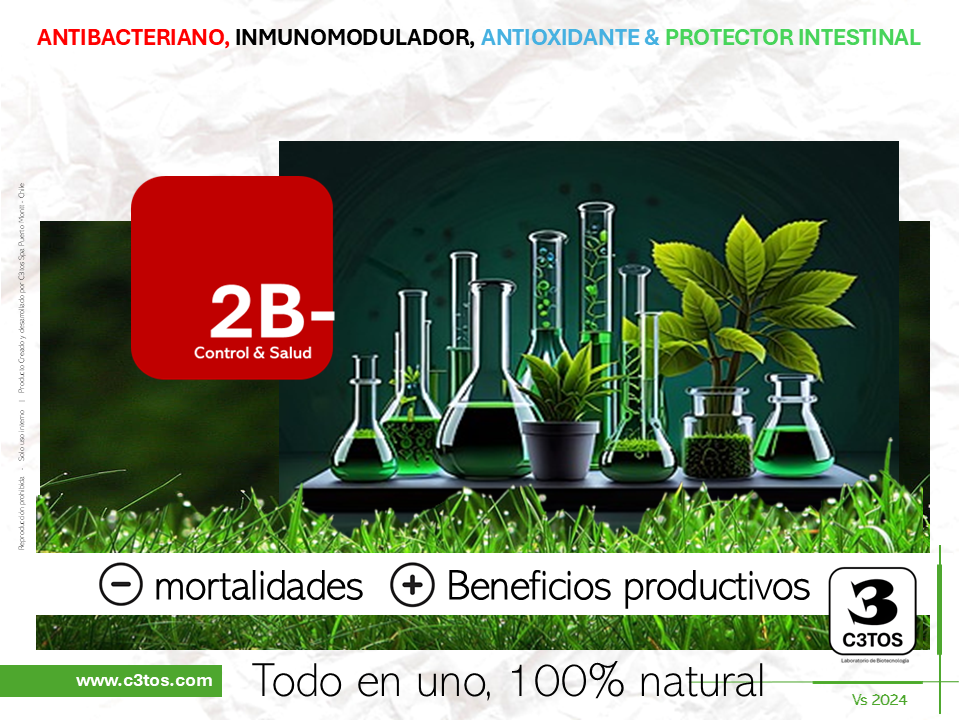 antibacteriano, antioxidante, inmunomodulador, protector intestinal